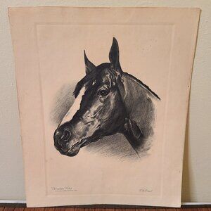 Kentucky Derby Winner 1960 Venetian Way Horse Print